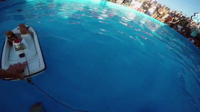 GoPro fait faire du ski nautique à un écureuil