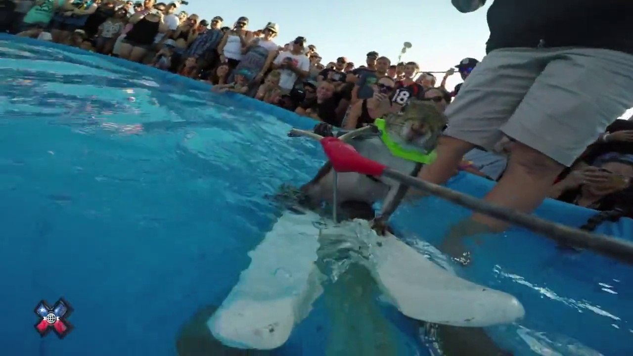 Cute Squirrel water skiing is insane