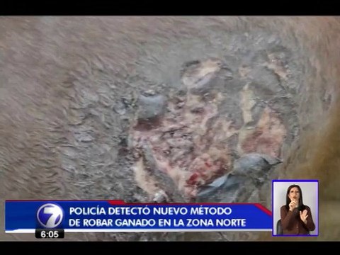 Contrabandistas utilizan nuevo método para robar ganado en frontera norte