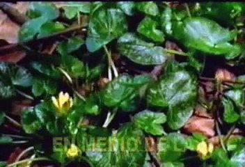 PAZ EN LA TORMENTA KARAOKE CRISTIANO