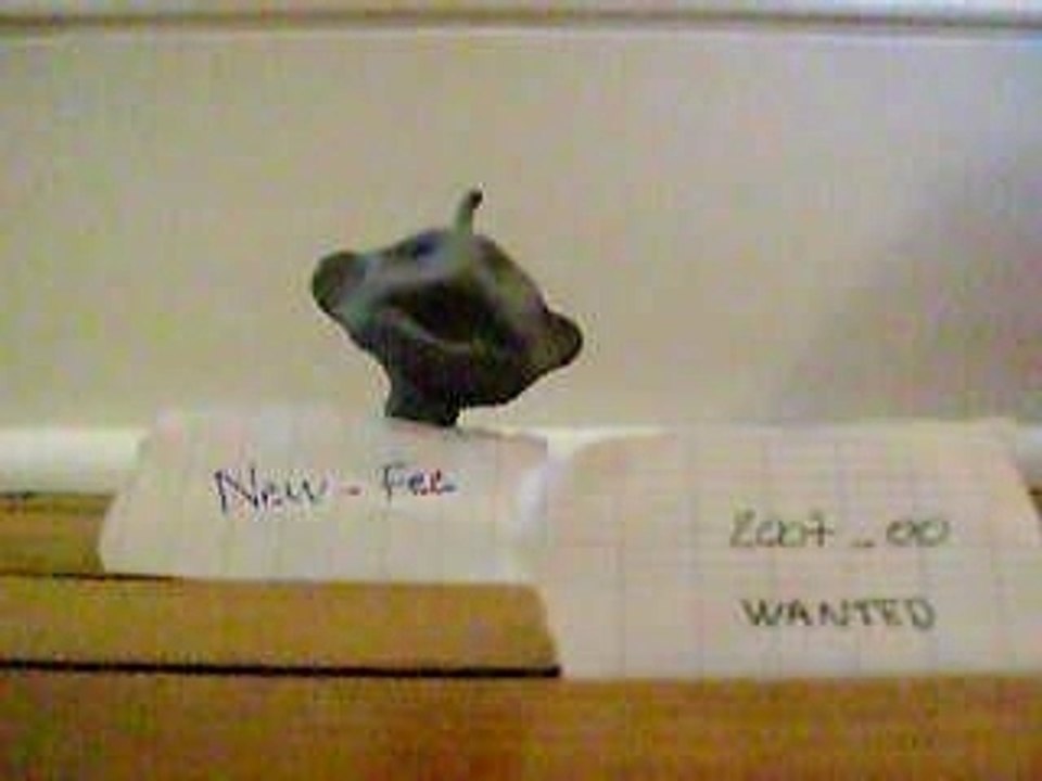 New-Fee