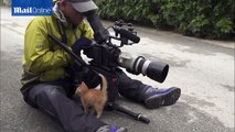 Cute kitten tries his best to distract wildlife photographer