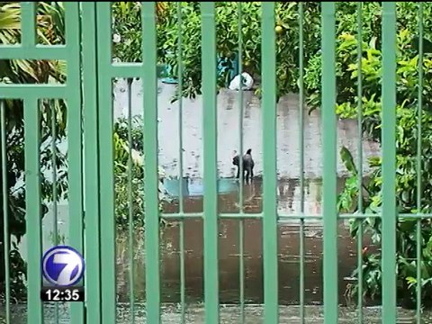 Comisión de Emergencias reporta daños por inundaciones del fin de semana