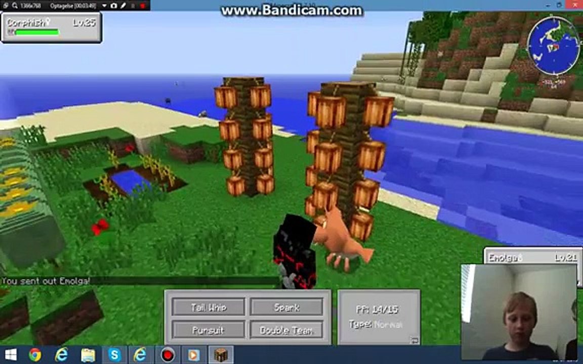 ´pixelmon ep 13
