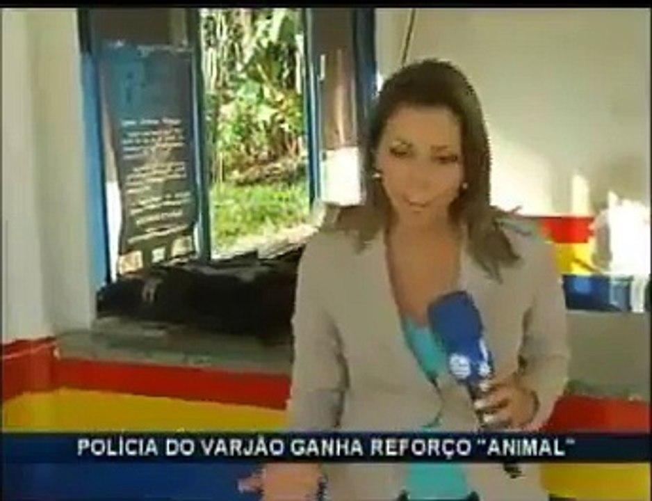 Cachorro policial