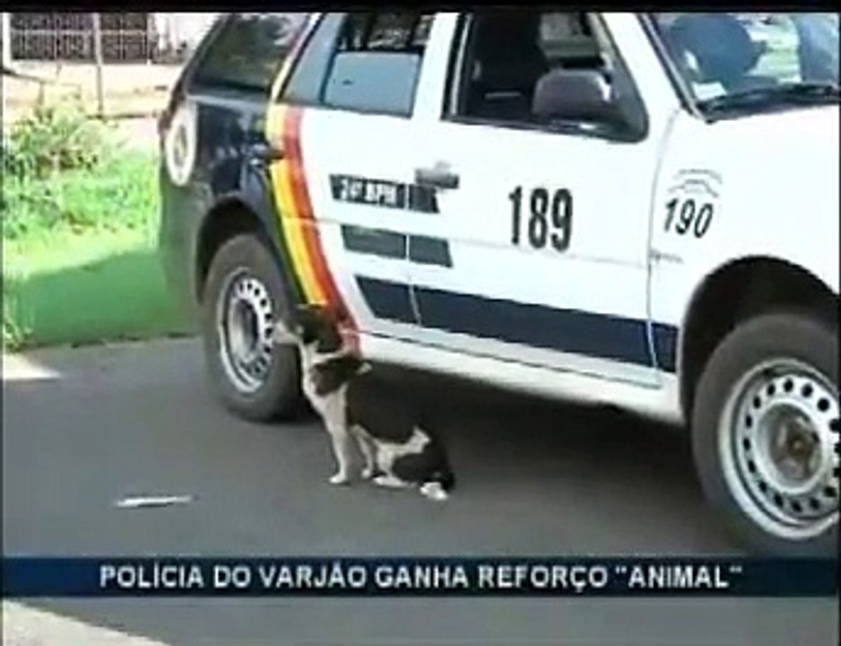Varjão