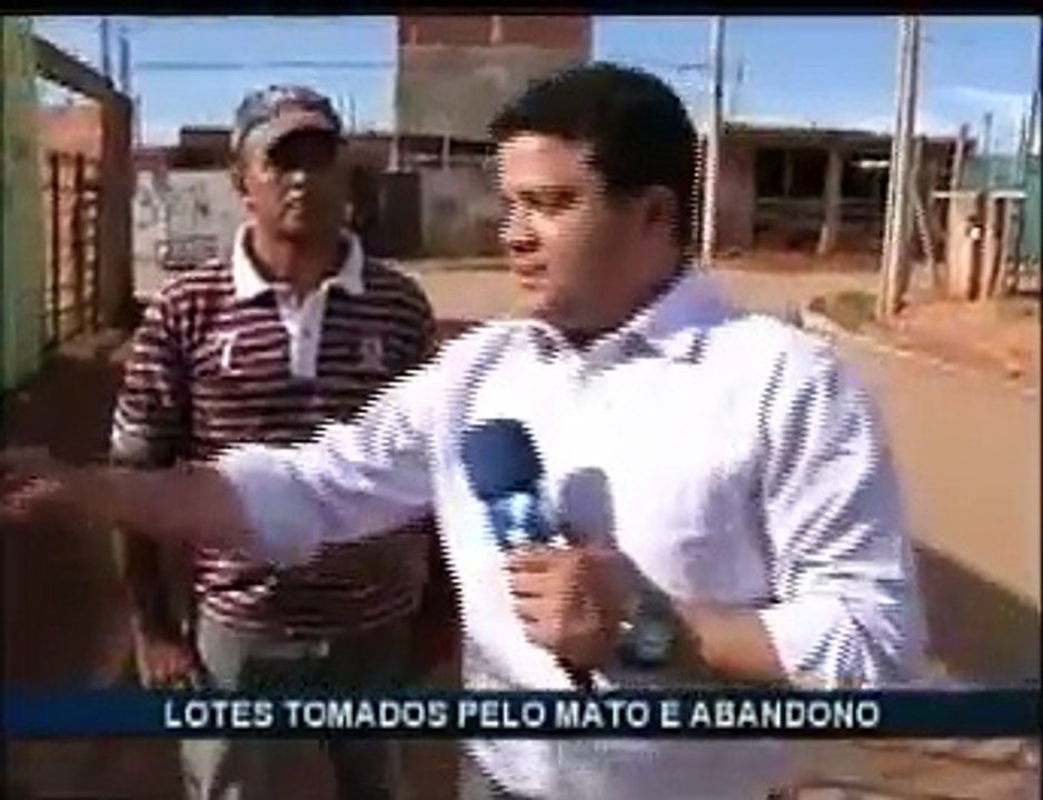 Samambaia