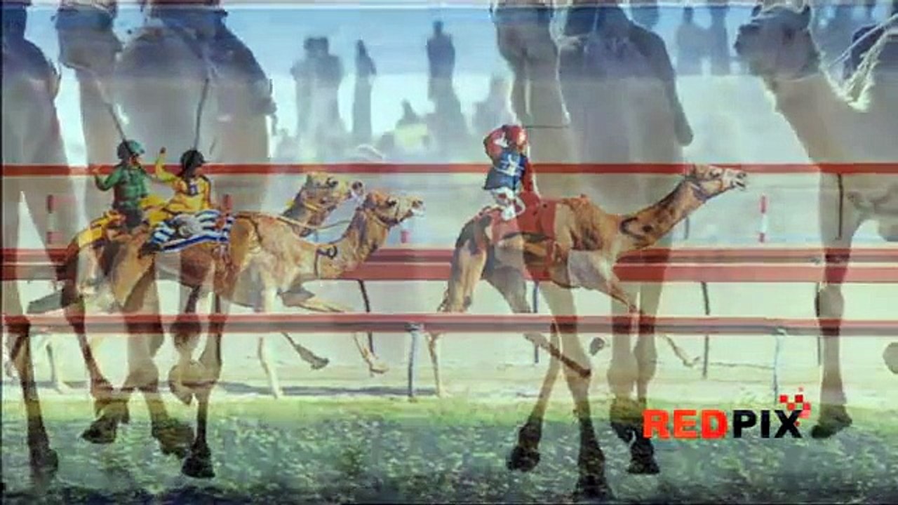Camel Race and the Asian Kids- A must watch Documentary on Child jockeys in the Middle East  2