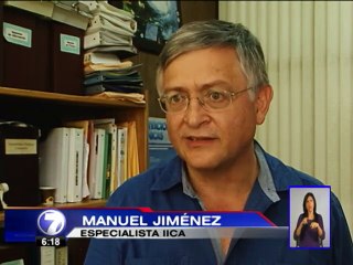 Expertos recomiendan tomar previsiones ante posibles efectos de El Niño