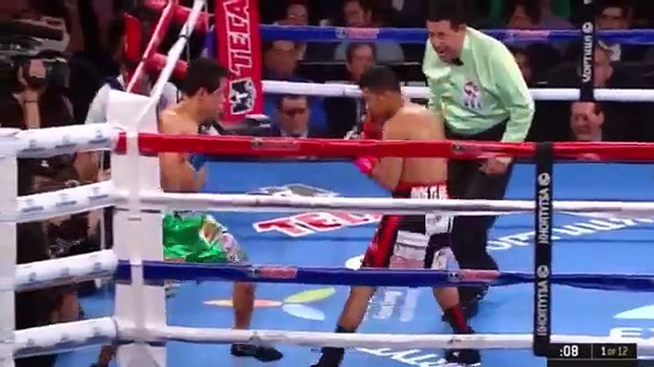 Roman Gonzalez vs Edgard Sosa