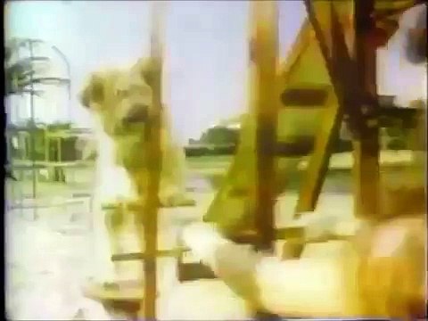 Here's Boomer promo with Casey Kasem - NBC June, 1980