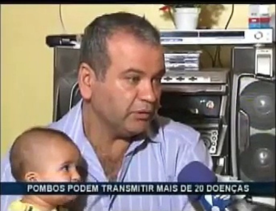 Animais
