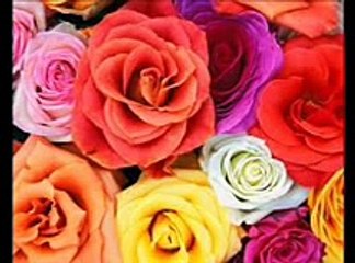 Sabri Brothers-Bhar Do Jholi Meri Ya Mohammad by Full HD