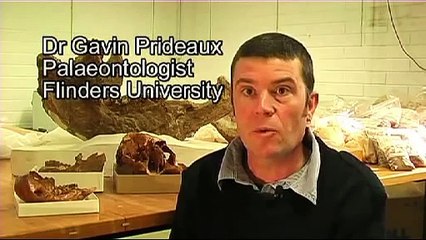 InDaily - Megafauna, Flinders Palaeontology