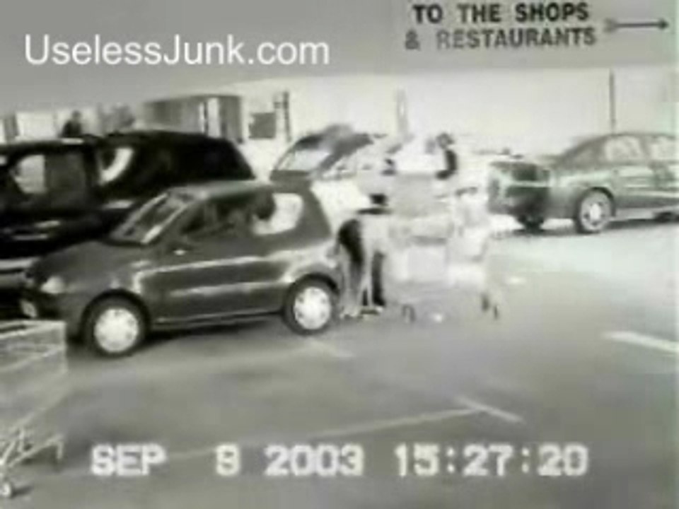 Fole avec sa voiture