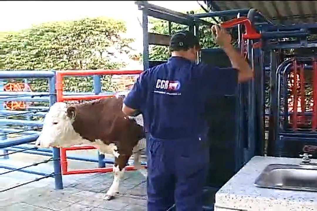 27 de junio de 2015 Biotecnología Reproductiva
