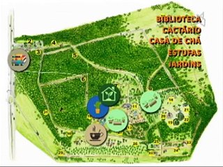 Trilha Jardim Botânico