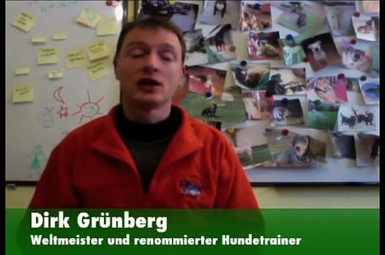 Hunde-Erziehung: Randalieren Teil 2 - Machen Sie auch diesen Fehler?