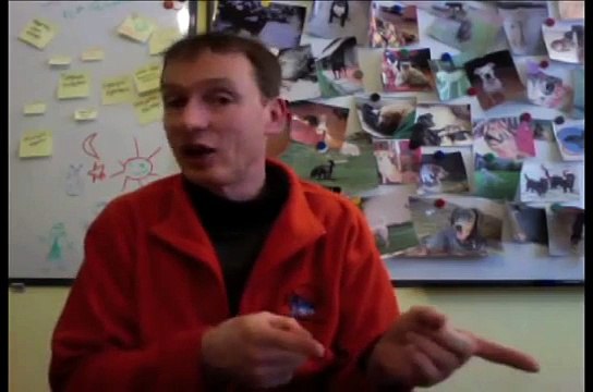 Hunde-Erziehung: Randalieren - Machen Sie auch diesen Fehler?