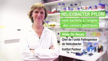 Institut Pasteur - Helicobacter pylori et cancers gastriques - Hilde De Reuse