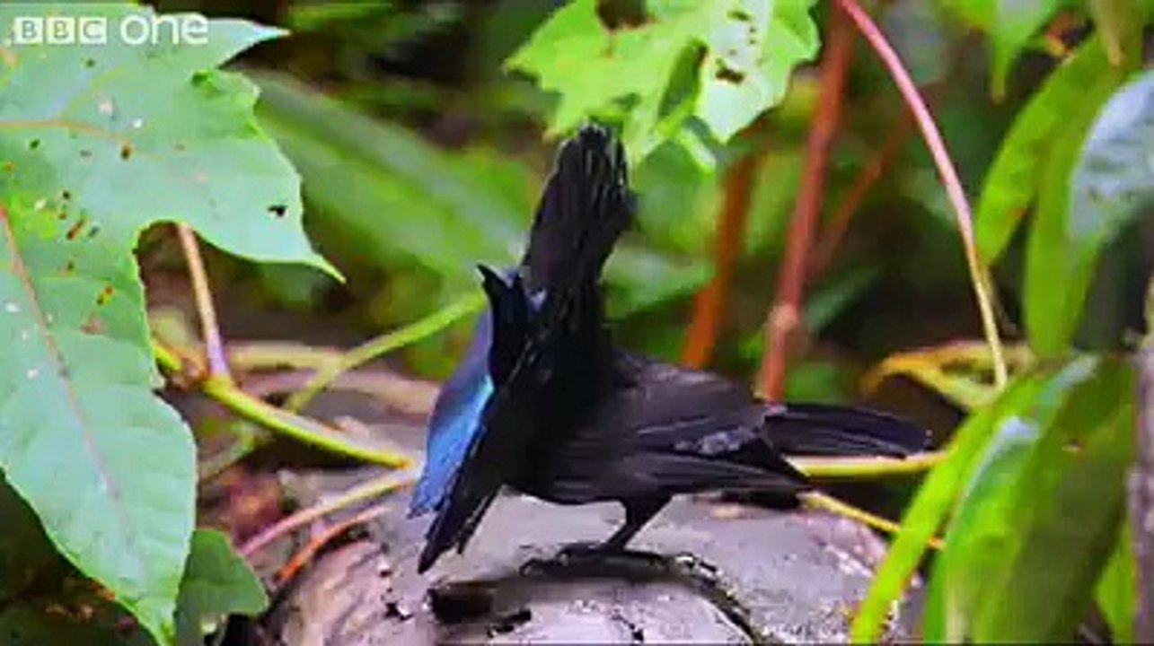 Wonderful World