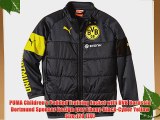 PUMA Children's Padded Training Jacket with BVB Borussia Dortmund Sponsor Design grey Ebony-Black-Cyber