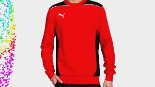 PUMA Foundation Men's Sweatshirt puma red-black Size:XXL