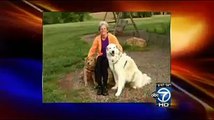 Mindy Felinton Featured on ABC News Regarding Pet Trusts
