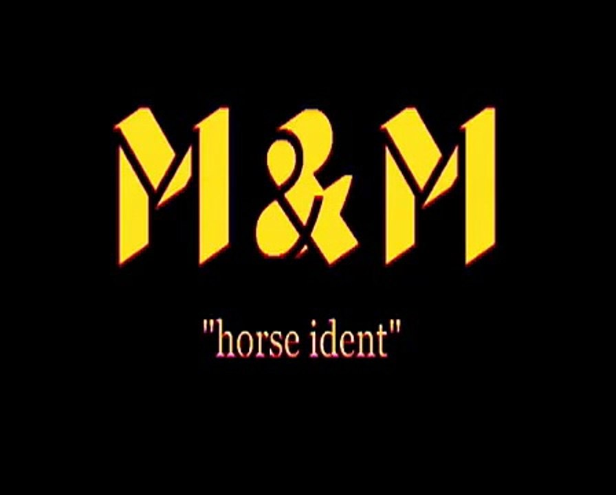 animal planet ident horse