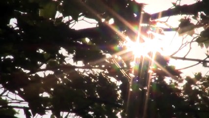 Au Revoir Simone - All Or Nothing