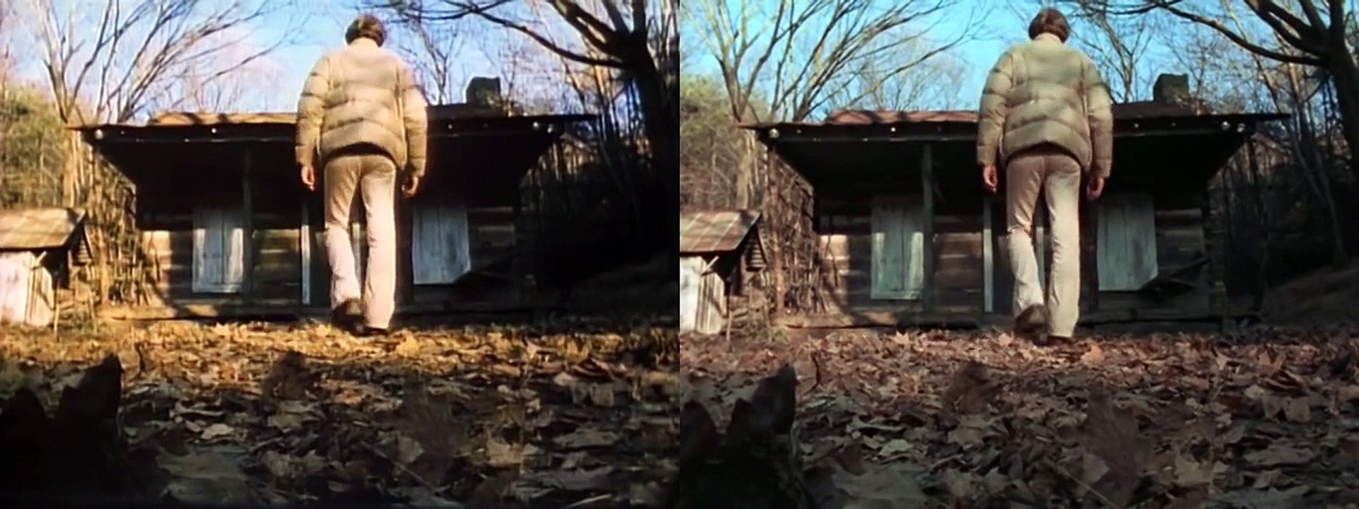 Evil Dead - Laserdisc/DVD Comparison