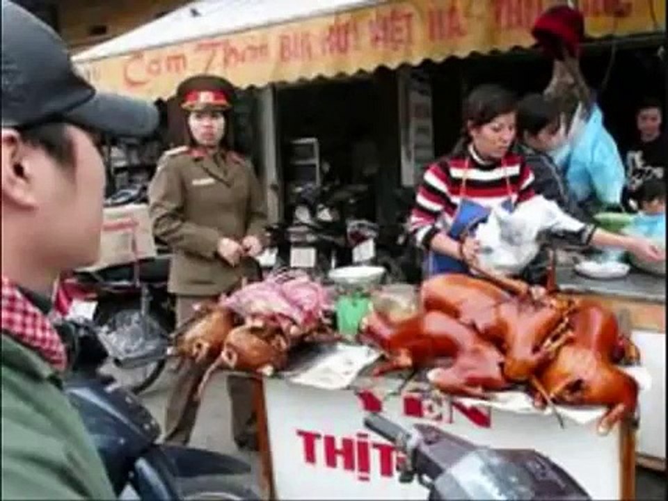 Traditional food of Vietnam - cats and dogs