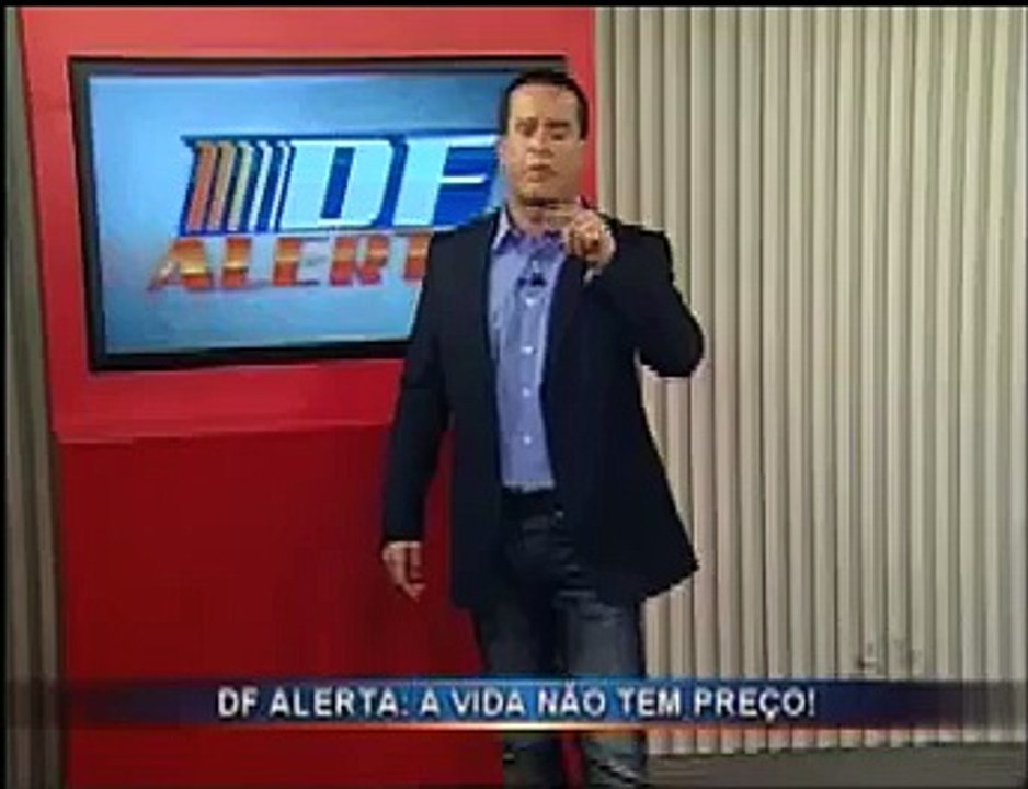 Samambaia