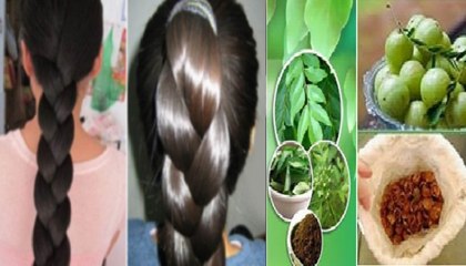 Home Made remedie for Hair to Grow Fast and Healthy