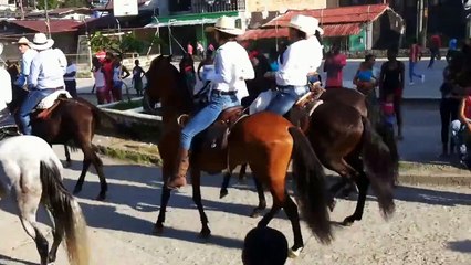 Cabalgata de Caballos de paso fino