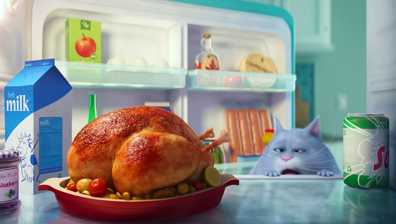 The Secret Life of Pets Official Teaser Trailer #1 (2016) - Jenny Slate, Kevin Hart Movie HD