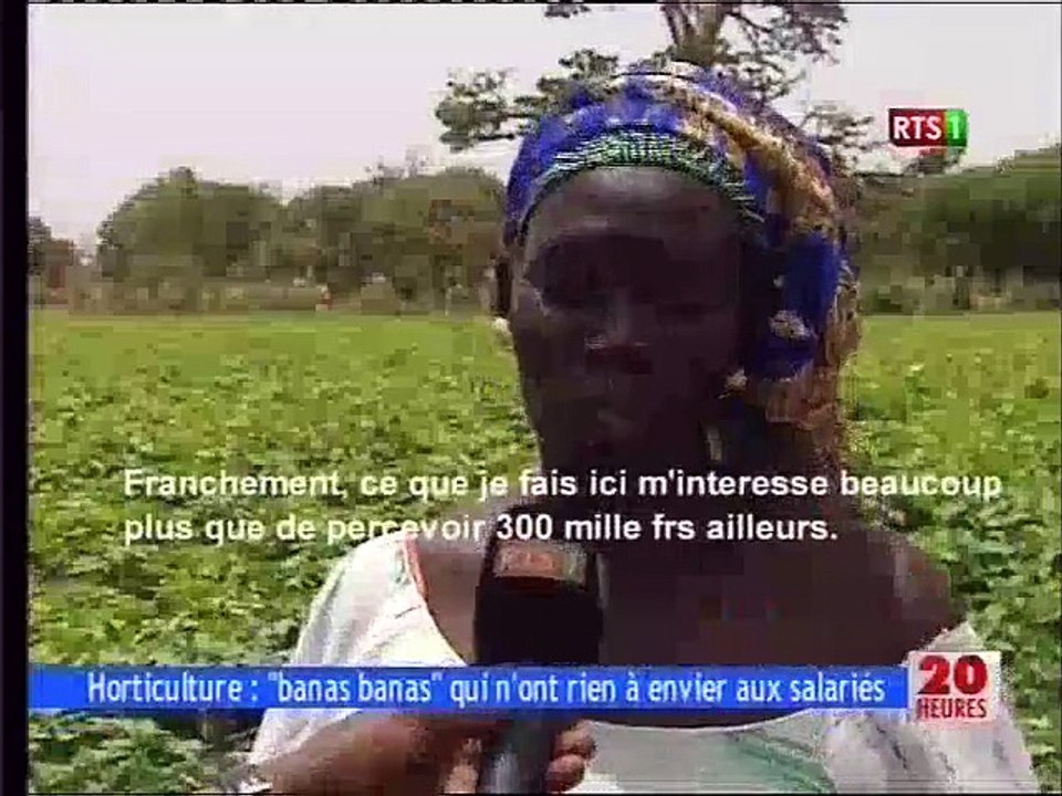 Horticulture : "banas banas"qui n'ont rien à envier aux salariés