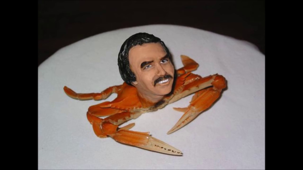 10 Weirdest Facts You Didn't Know