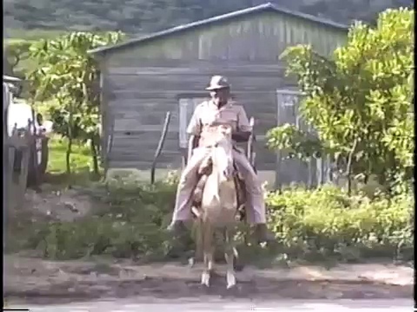platanal afuera, cibao, republica dominicana,mayo,1993