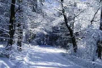 emotional Tamam Insaanon Ka zahen maal se hi sub hota hai Maulana Tariq Jameel