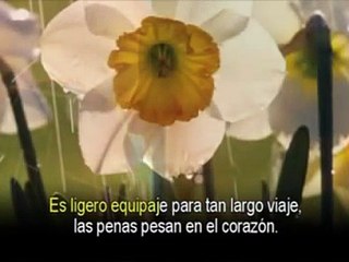 Un beso y una flor - Nino Bravo - karaoke español