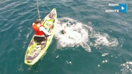 Shark Flips Over Captain's Boat