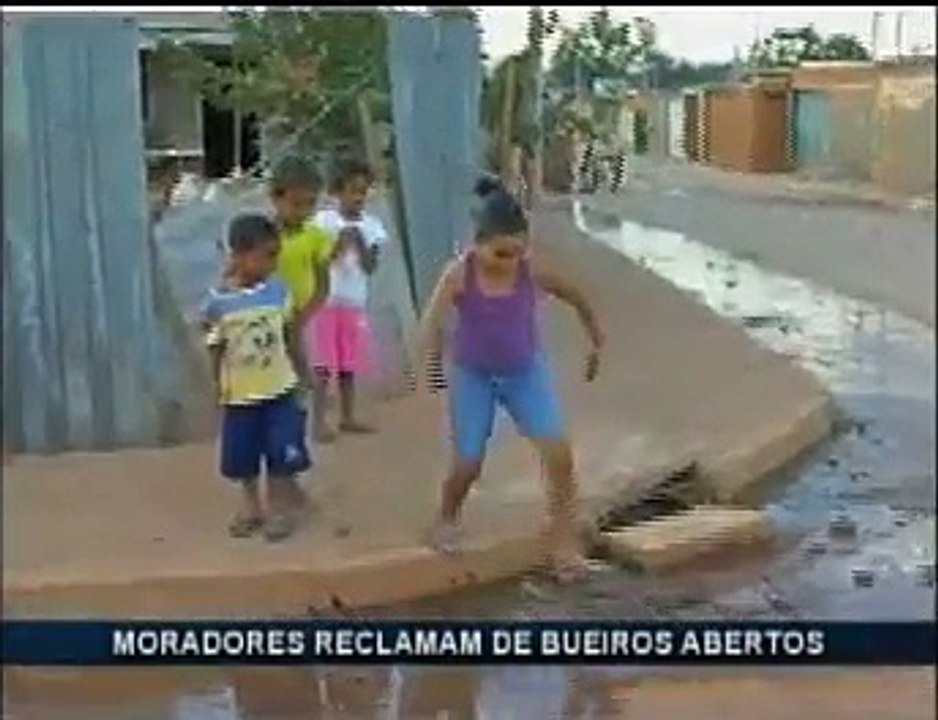 Samambaia
