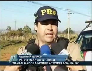 VT Atropelamento BR-060