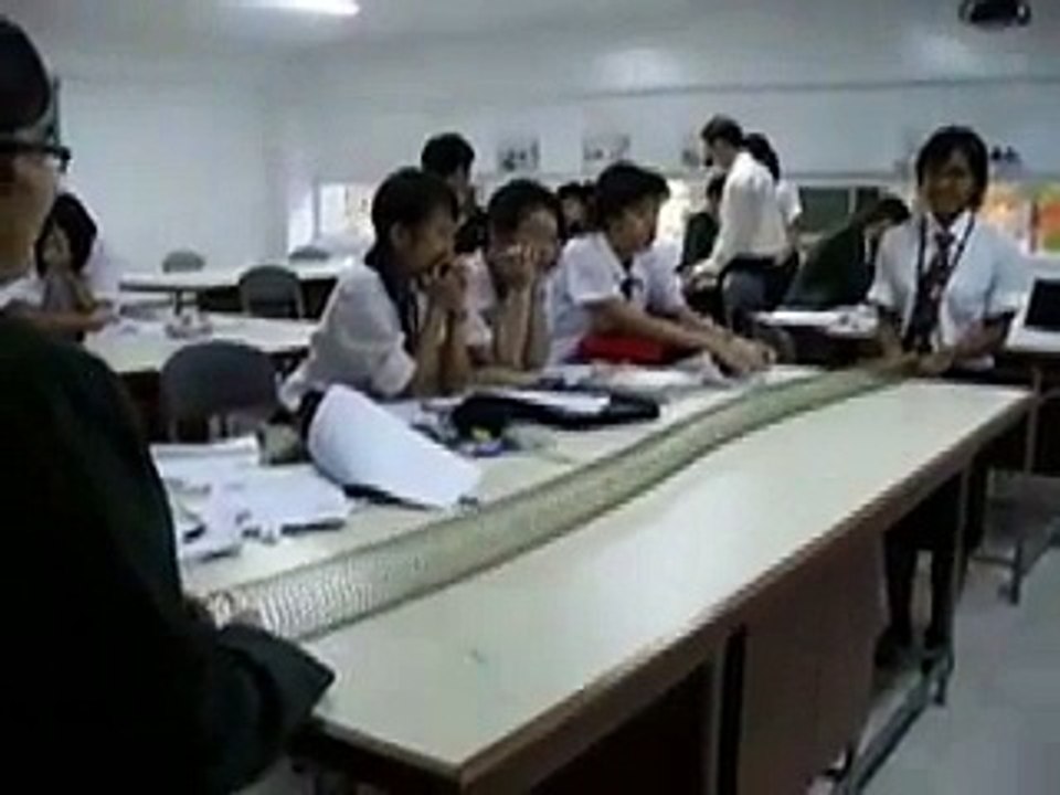 Physics Experiment of Waves