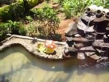 laguinho com cascata artificial