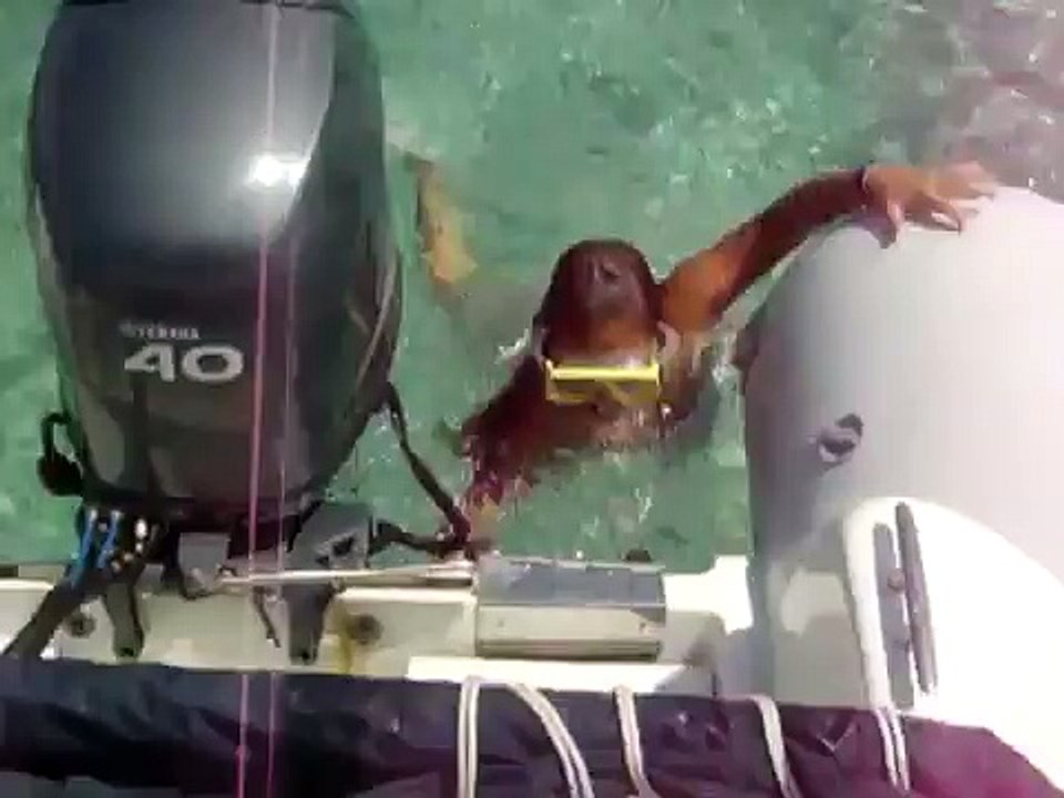 le nostre belle vacanze in sardegna 2010