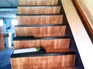 Kit rénovation pour escalier en béton _ +33 (0) 6 30 66 78 63