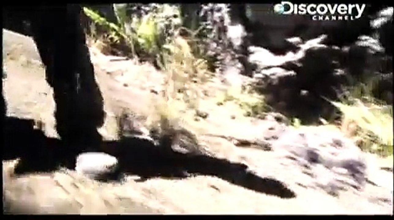 Man VS Wild 1