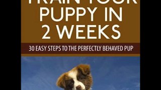 ACX Audiobook Narrator Pam Rossi TRAIN YOUR PUPPY IN 2 WEEKS